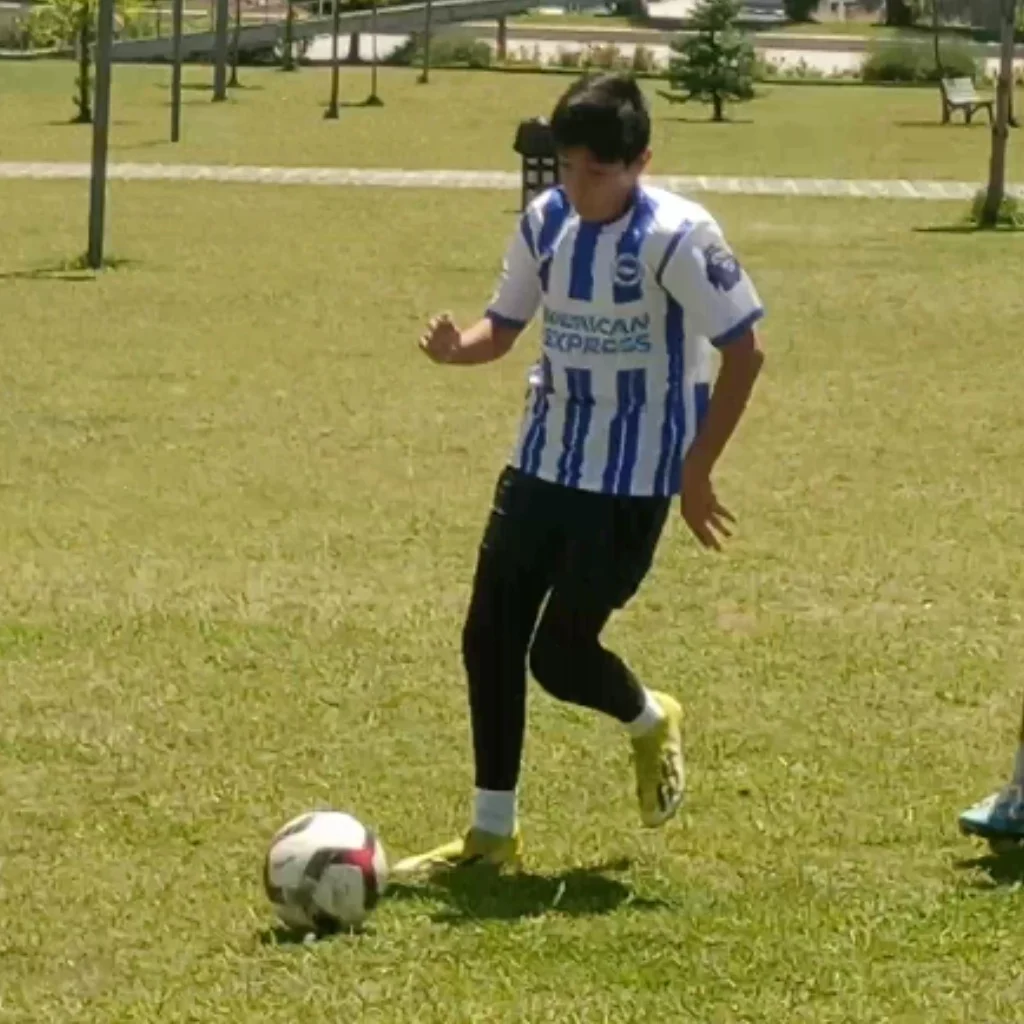 Profil