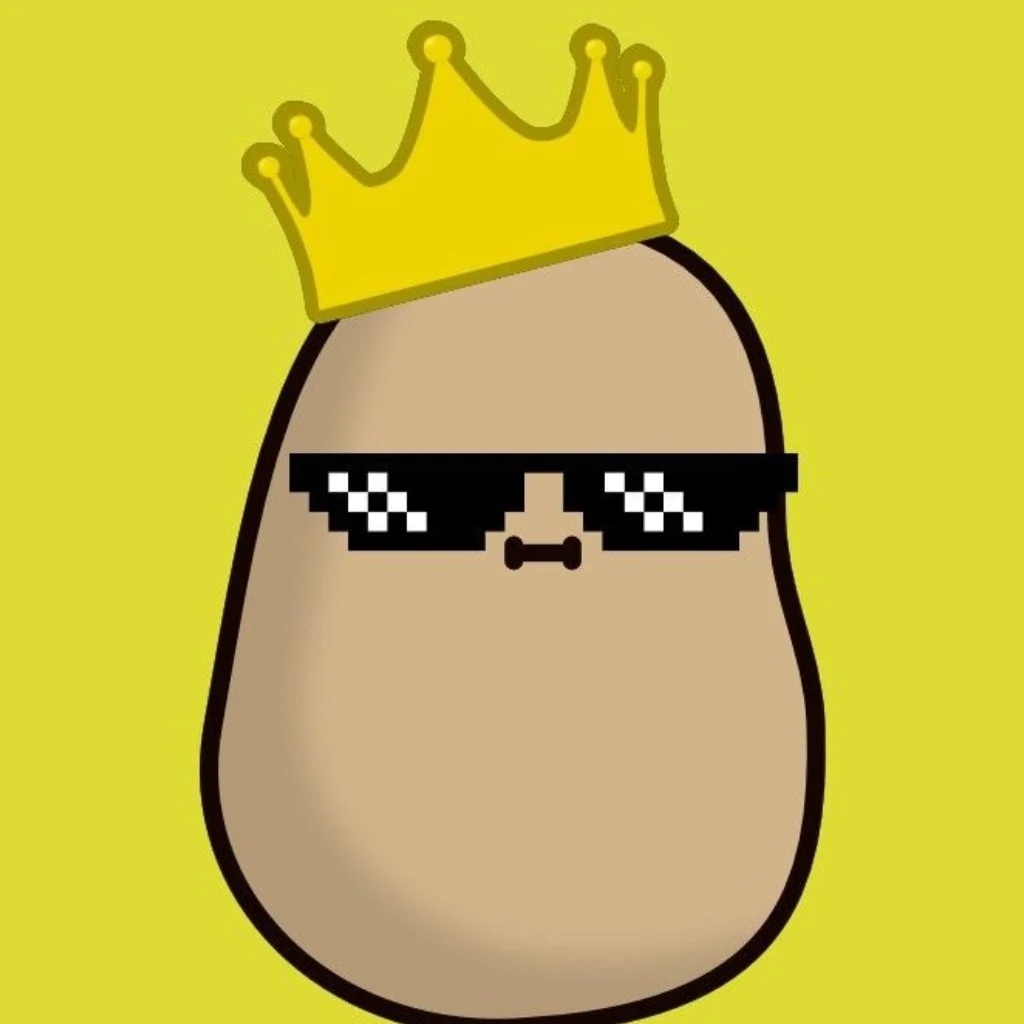 Profil