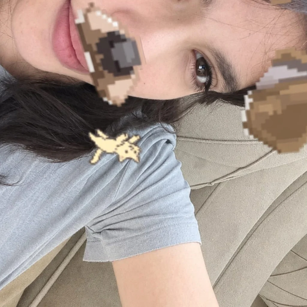 Profil
