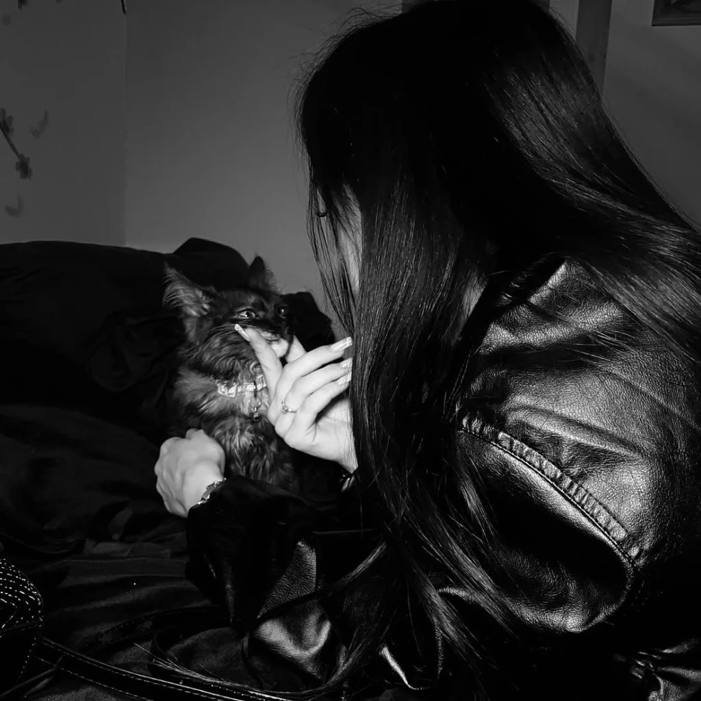 Profil