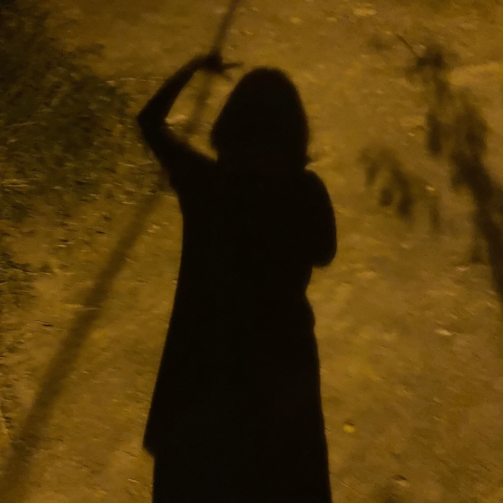 Profil