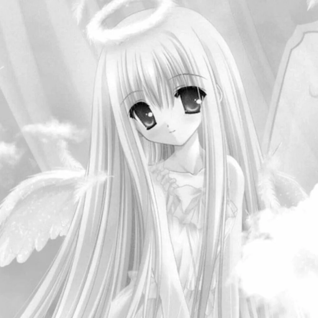 Profil