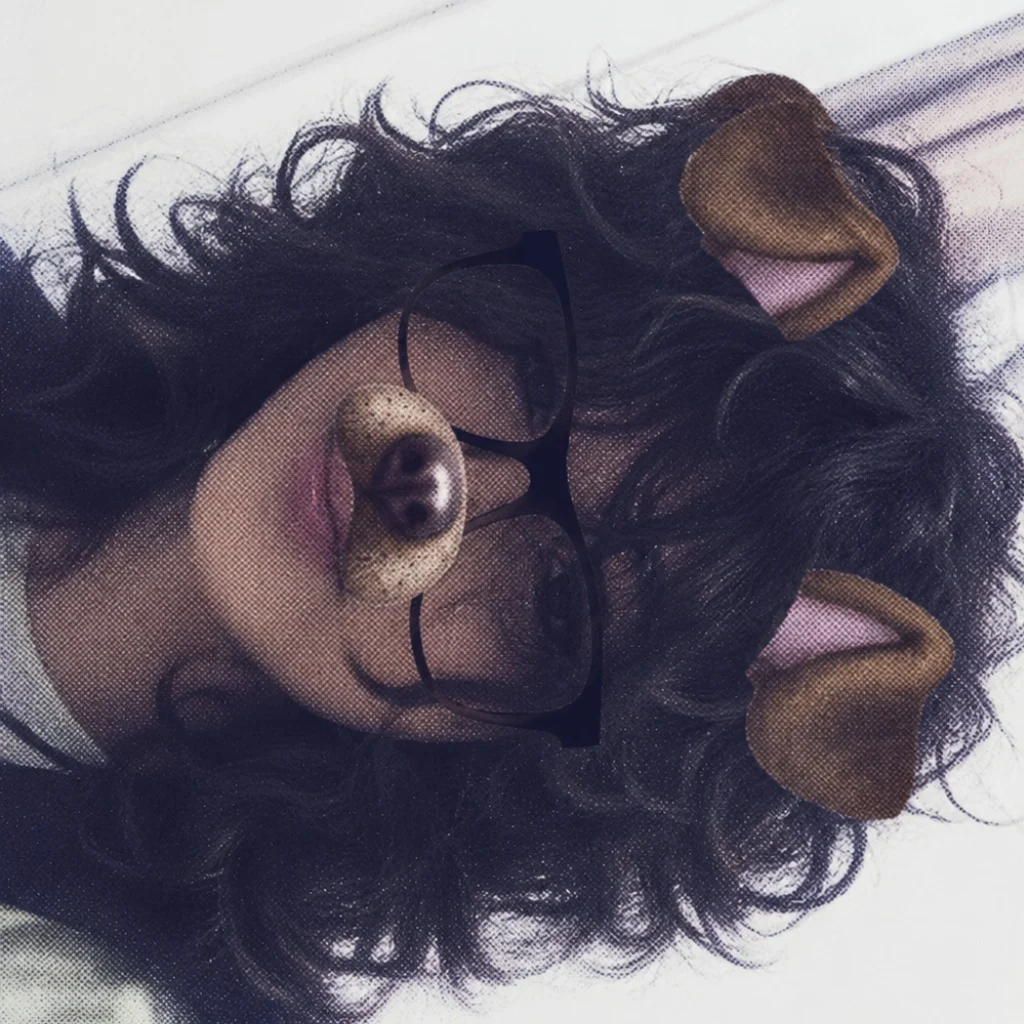 Profil