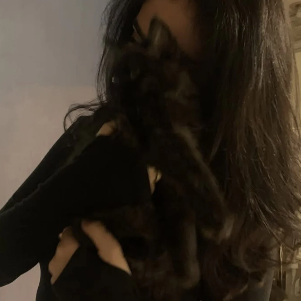 Profil