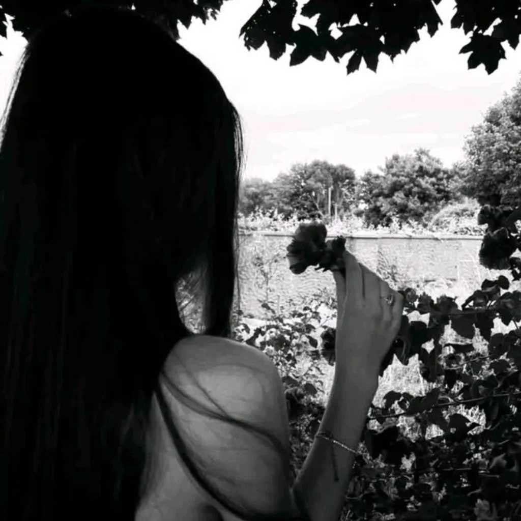 Profil