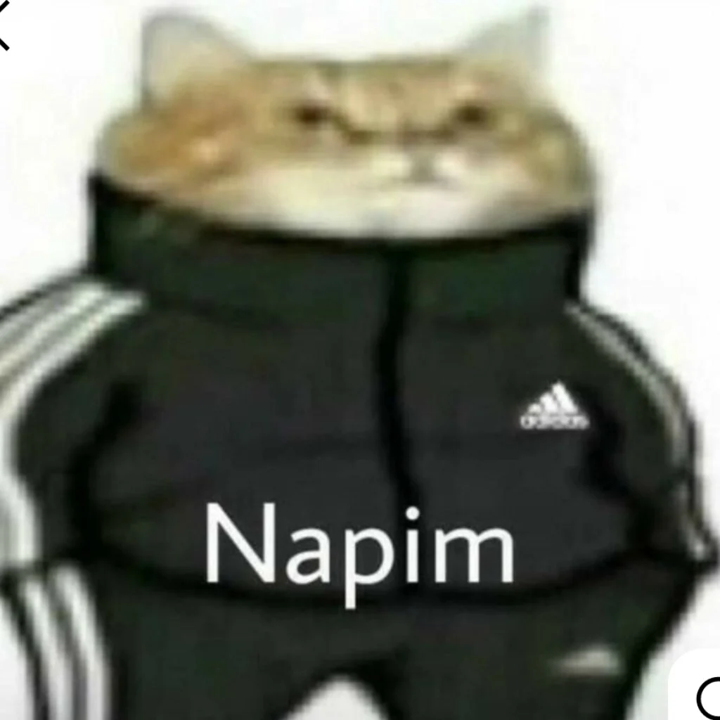 Profil