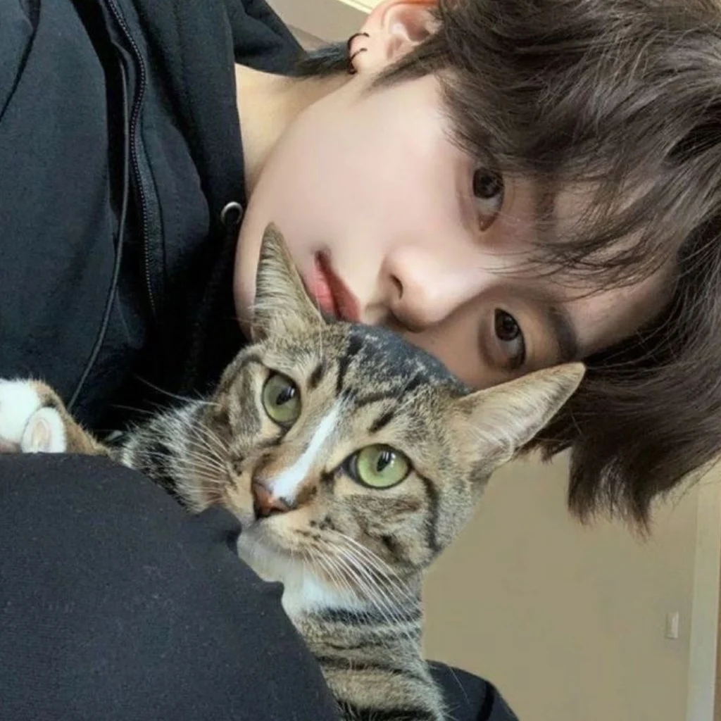 Profil