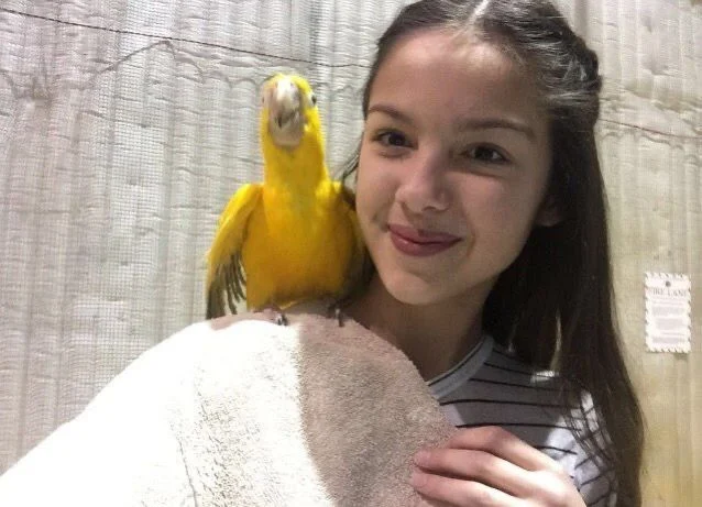 Profil