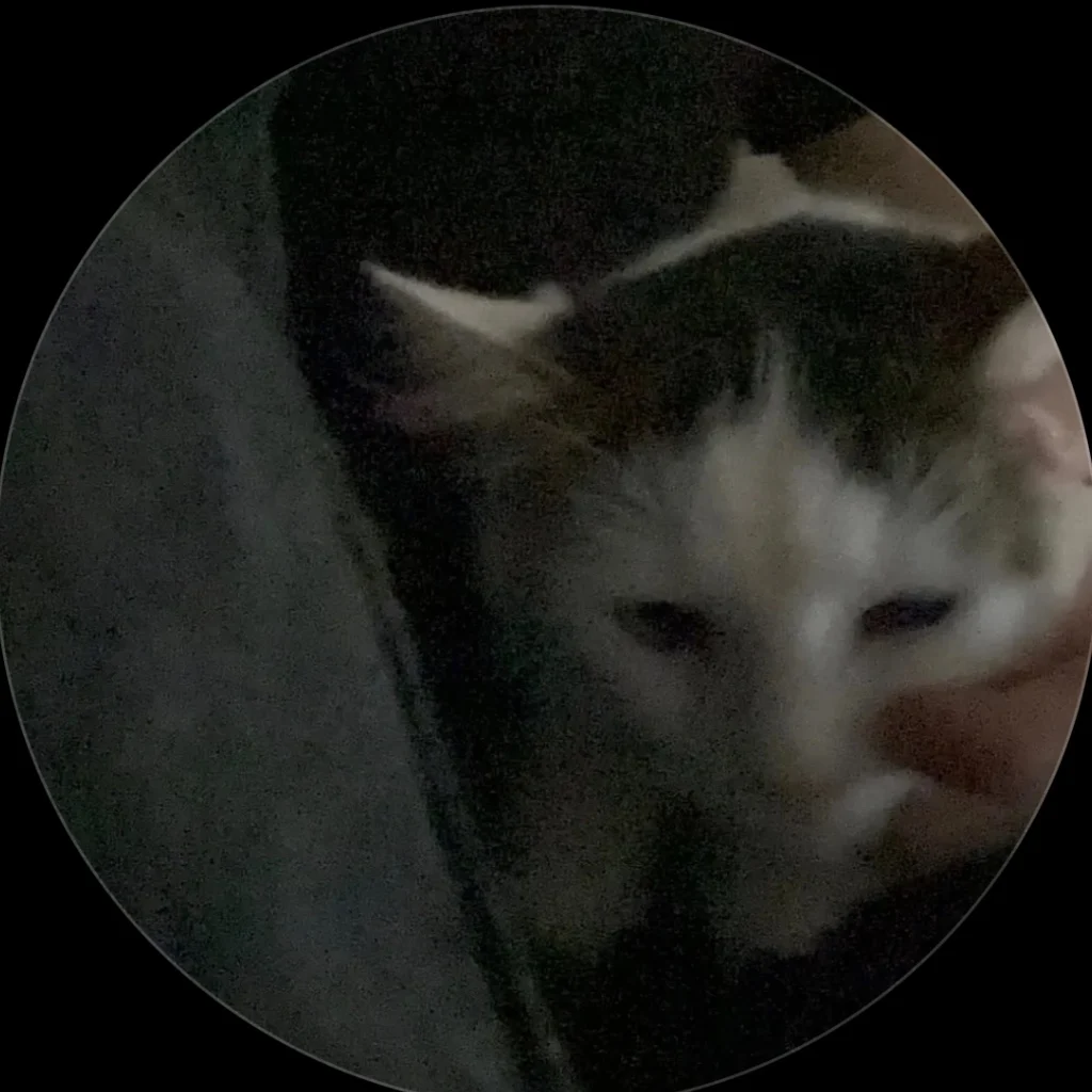 Profil