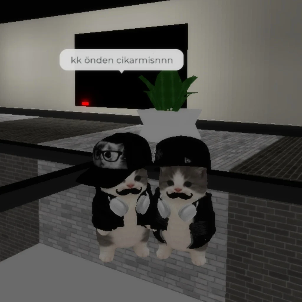 Profil