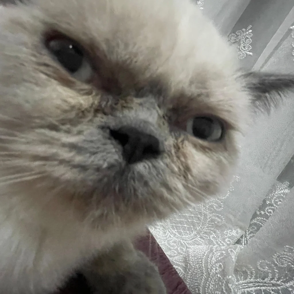 Profil