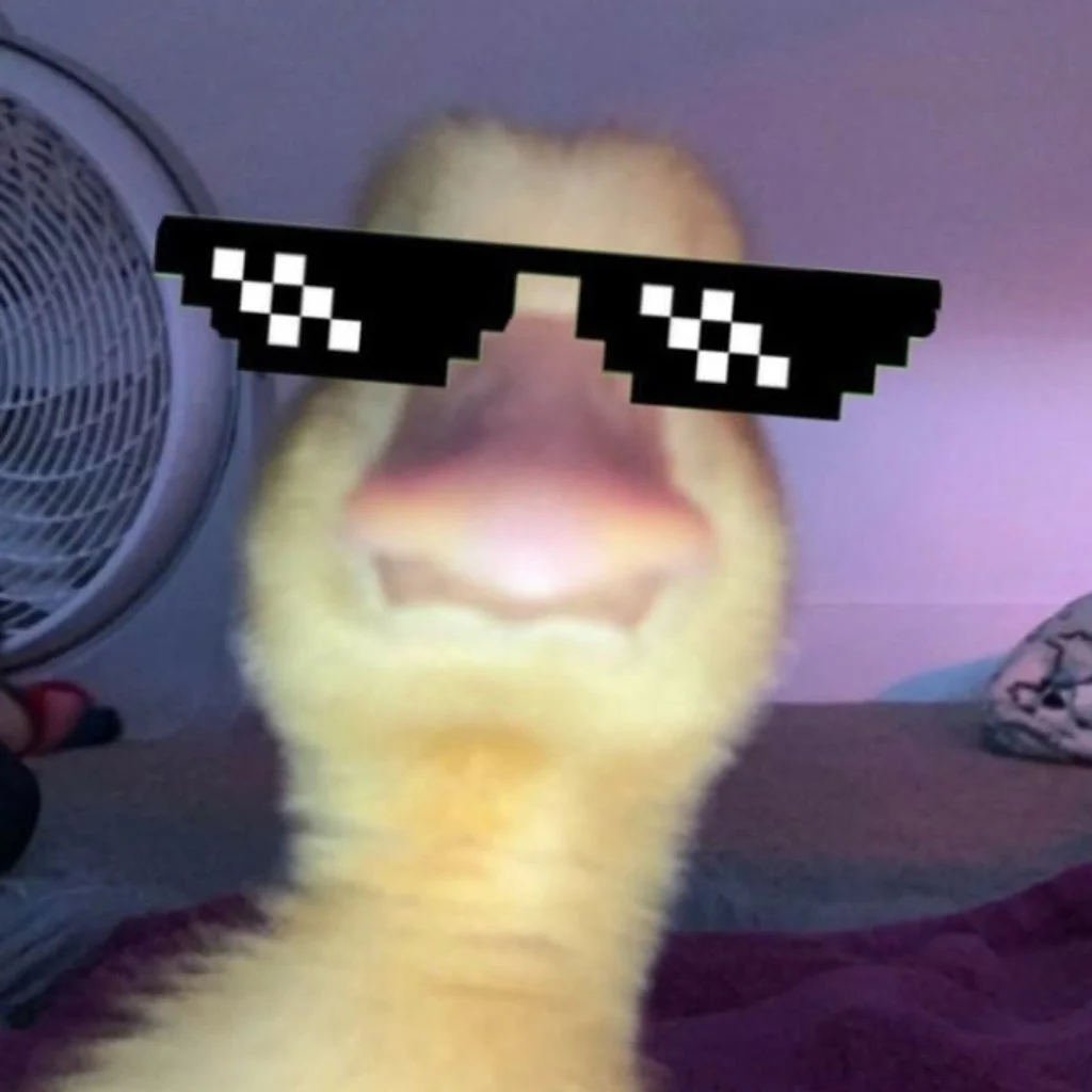 Profil