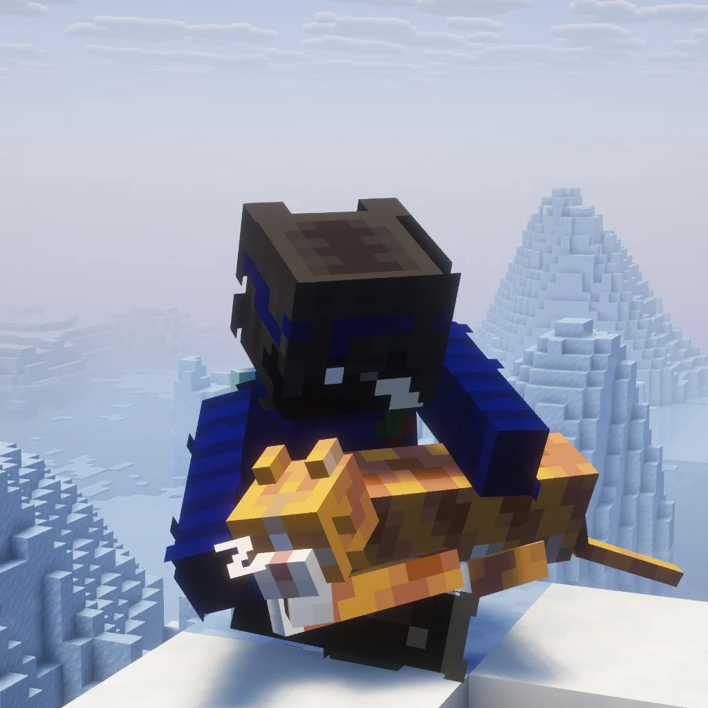 Profil