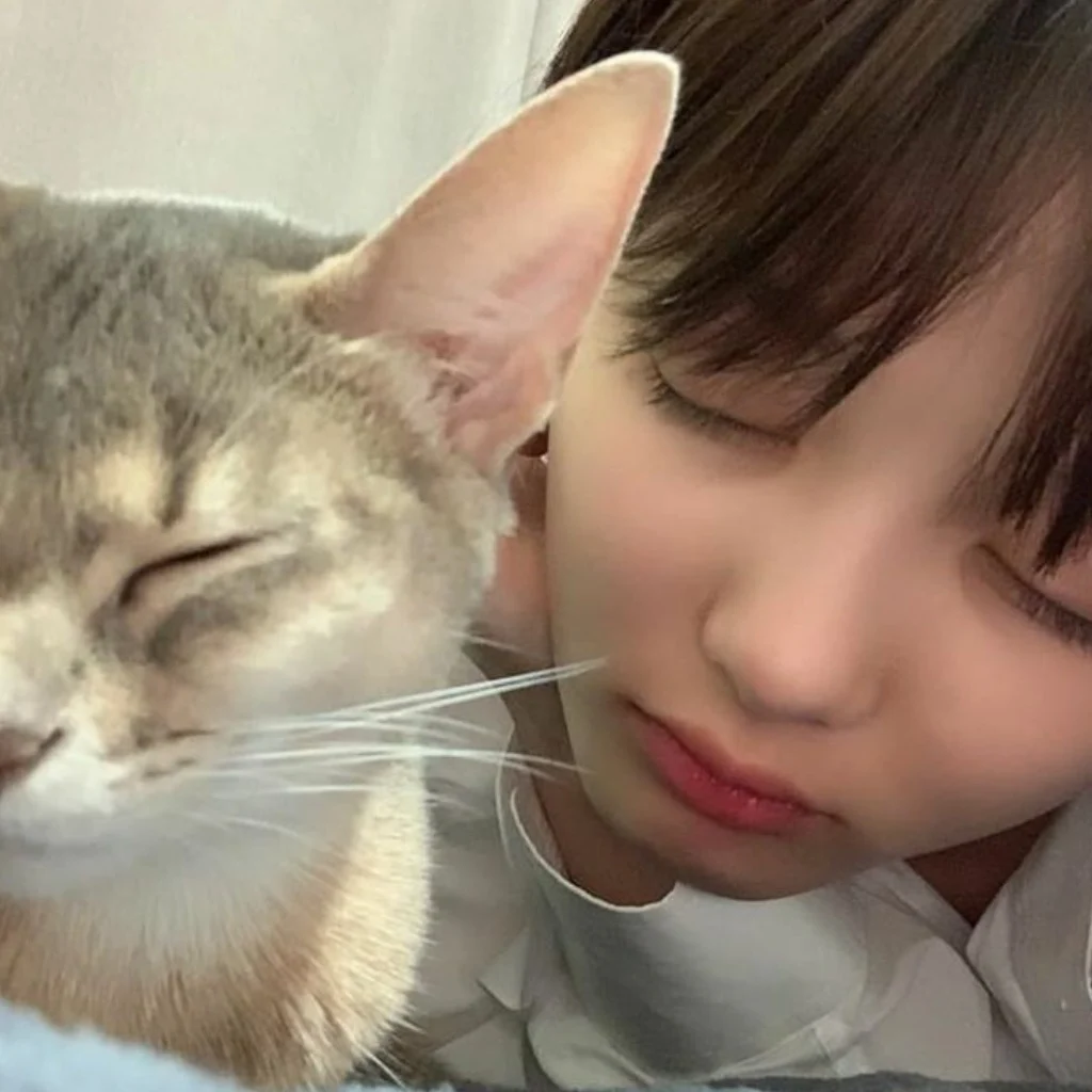 Profil
