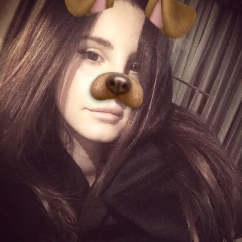 Profil