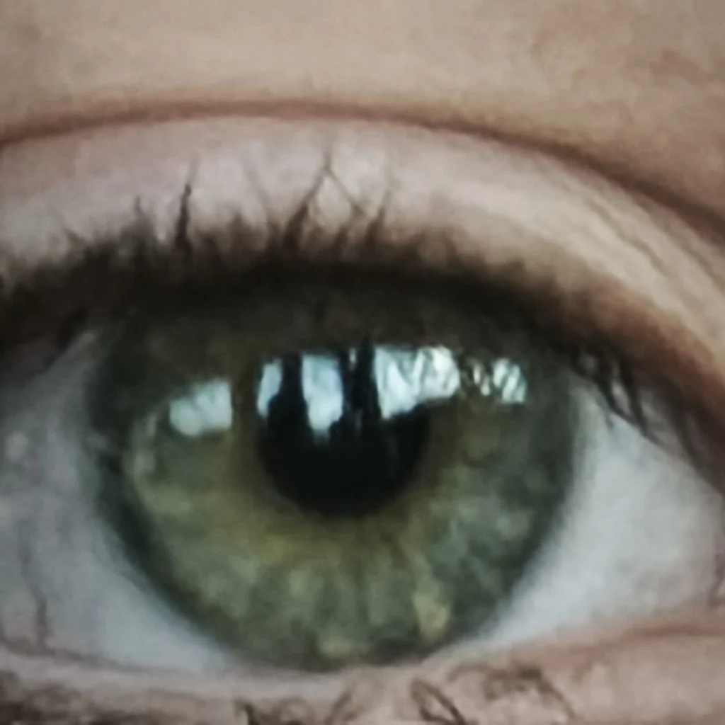 Profil
