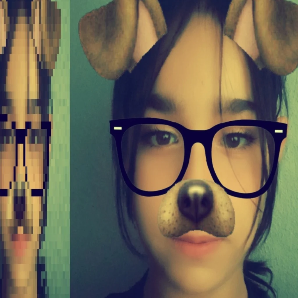Profil