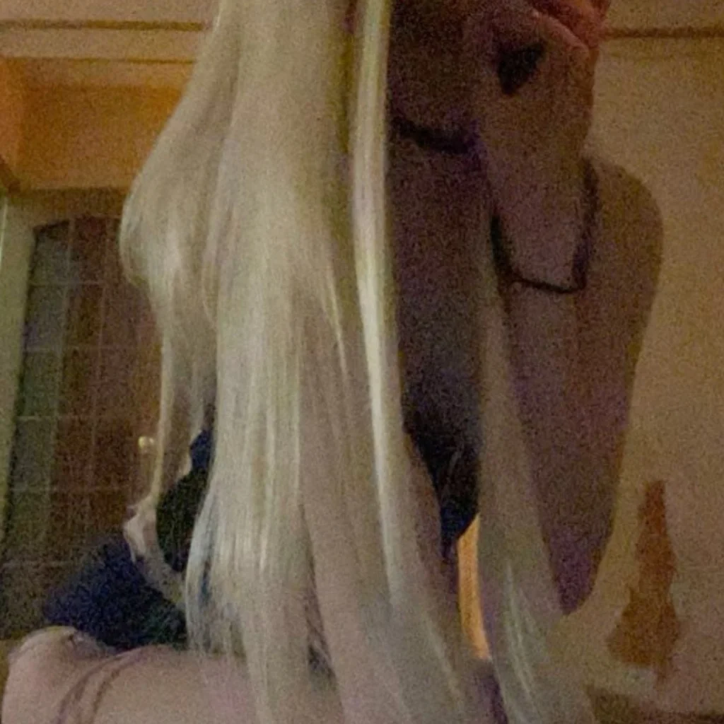 Profil