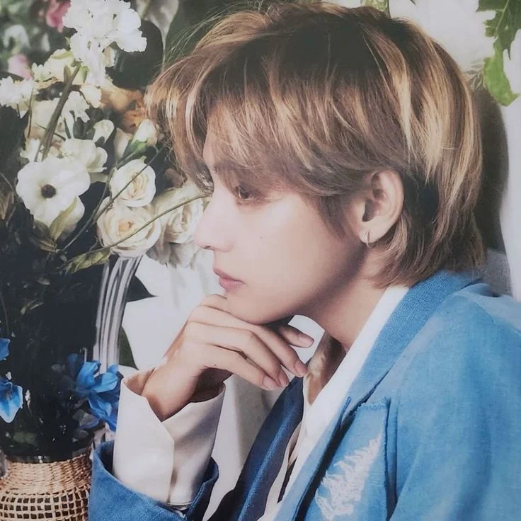 Profil