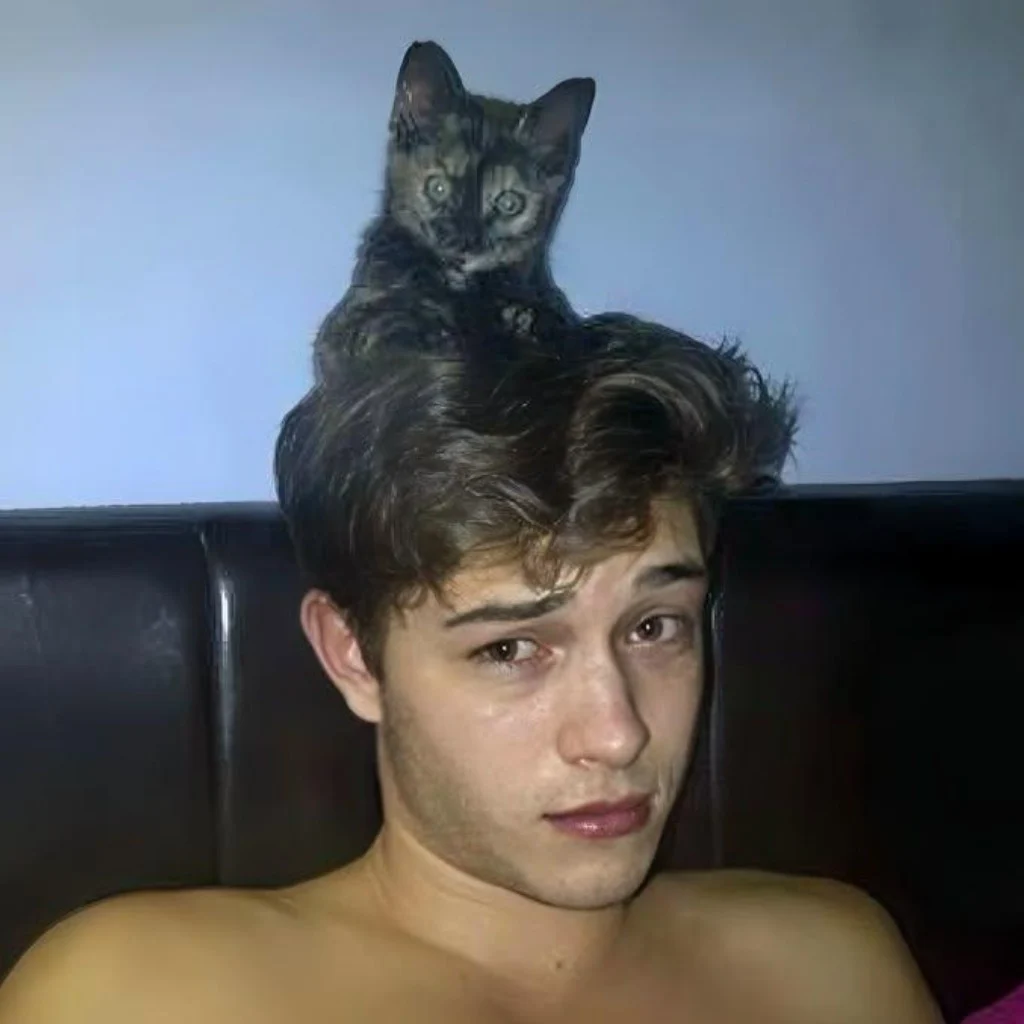 Profil