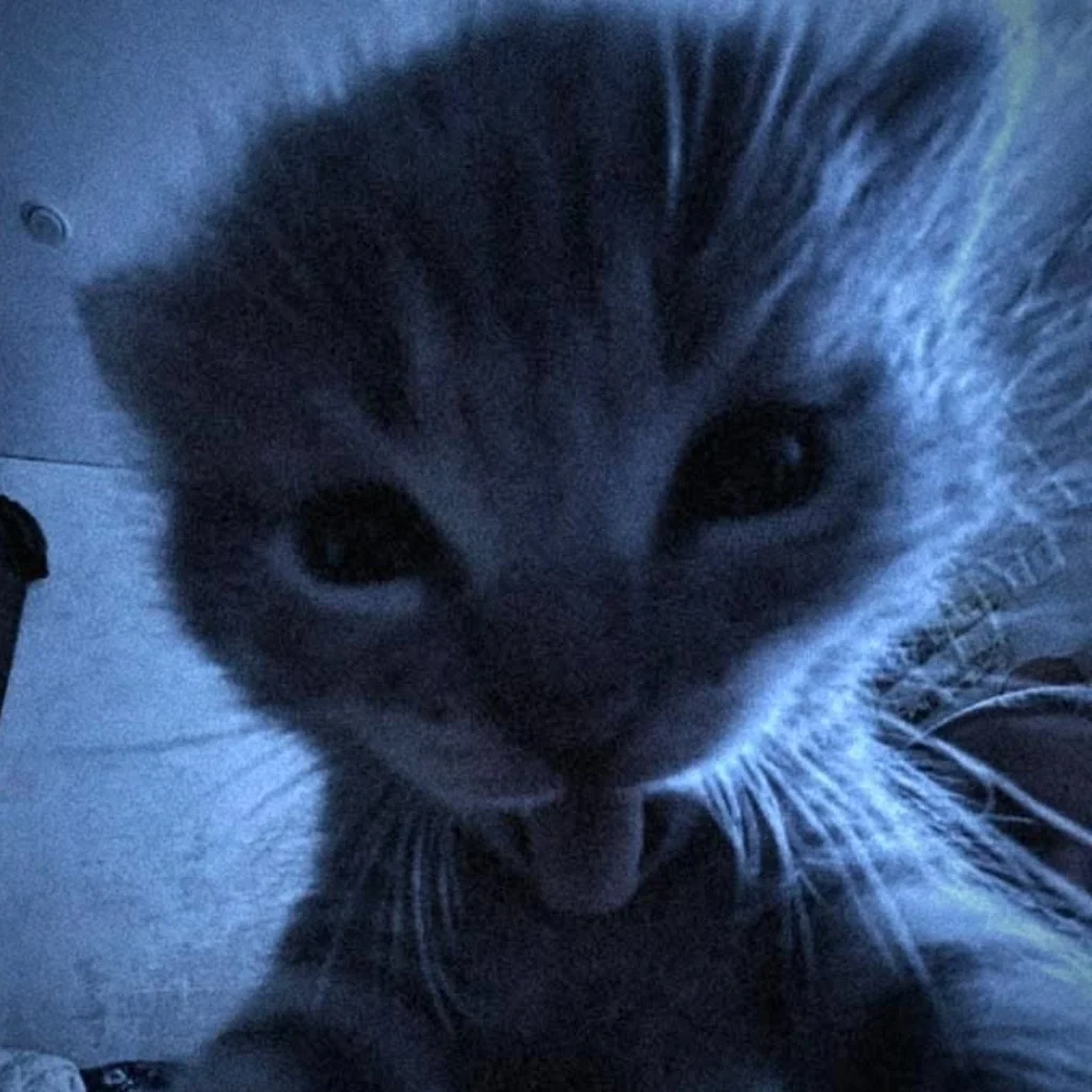 Profil
