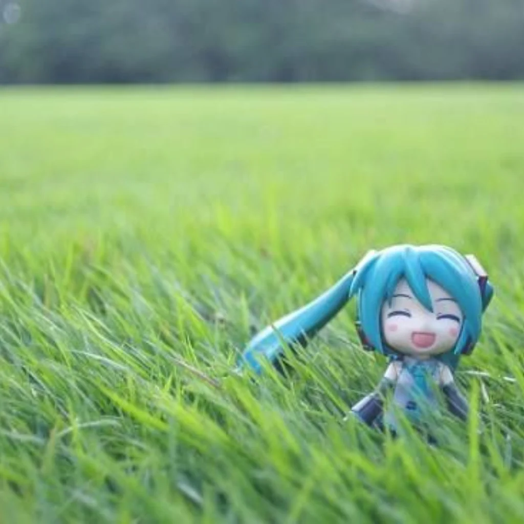 Profil