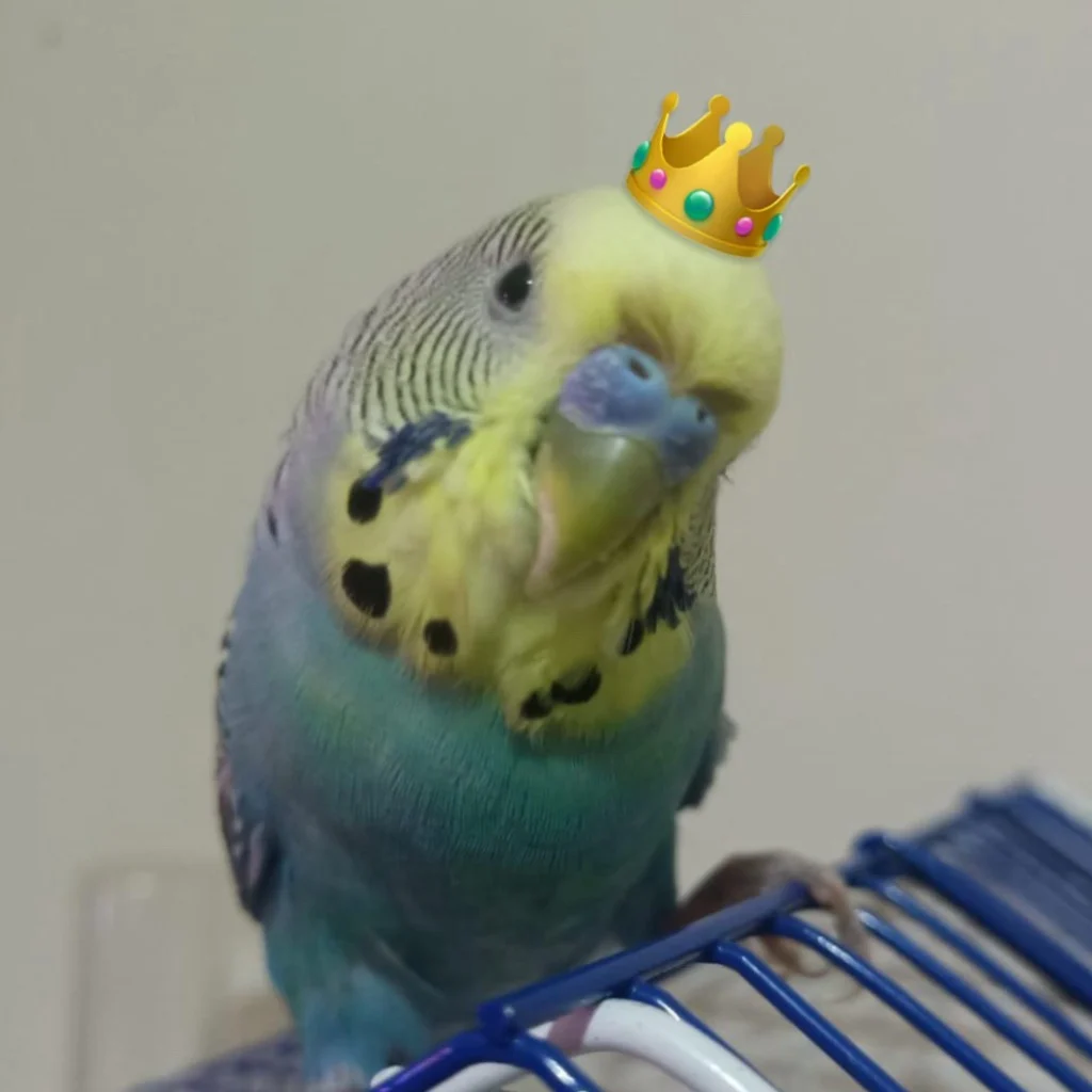 Profil