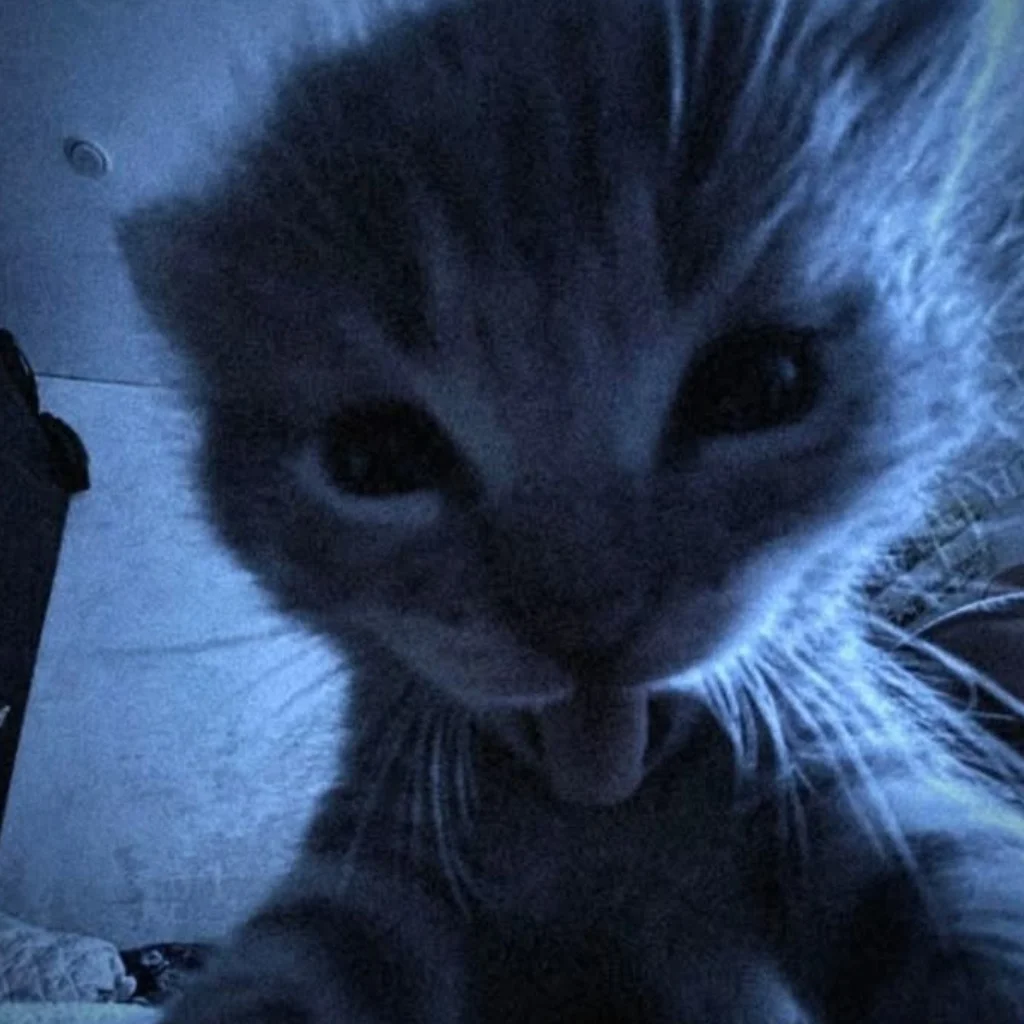 Profil