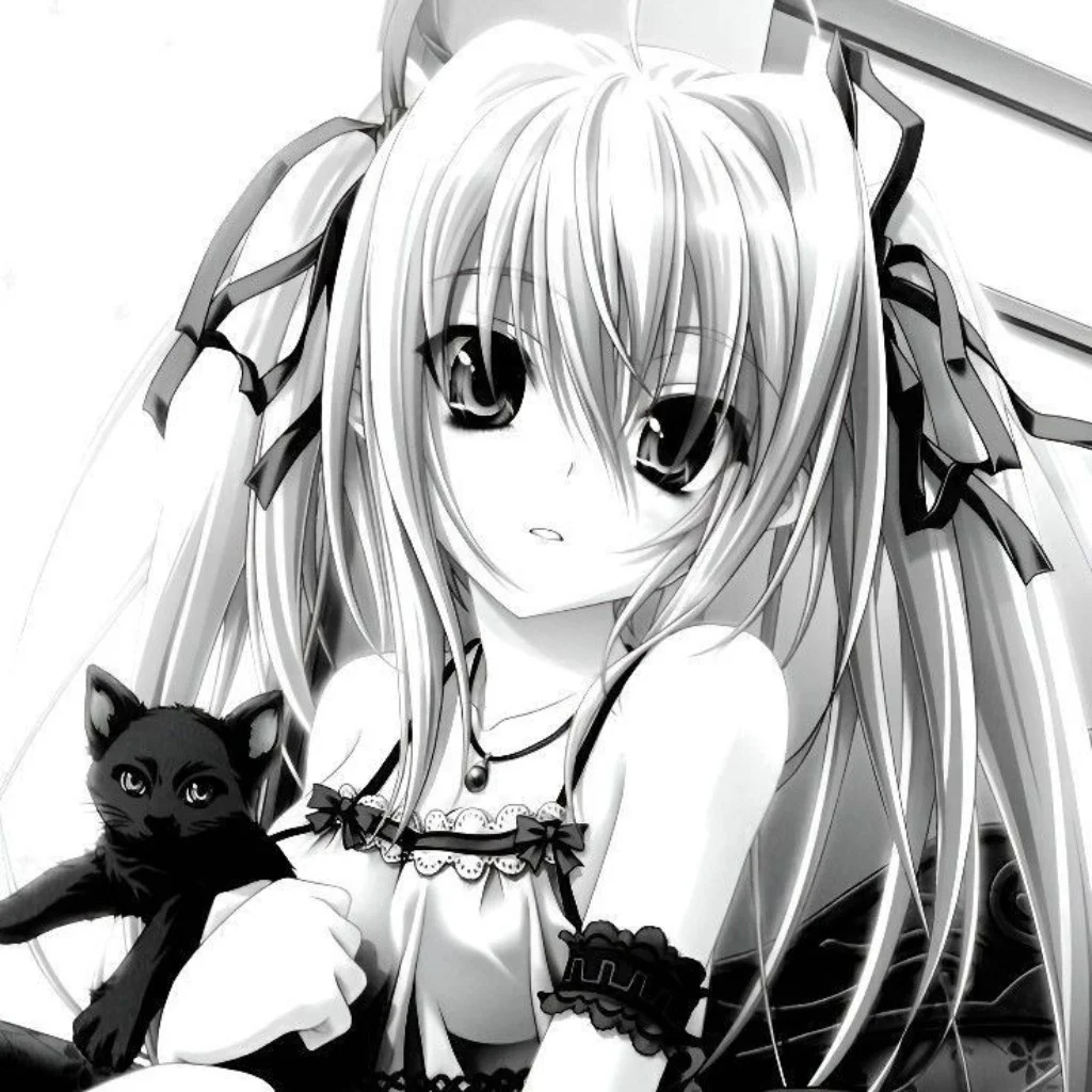 Profil