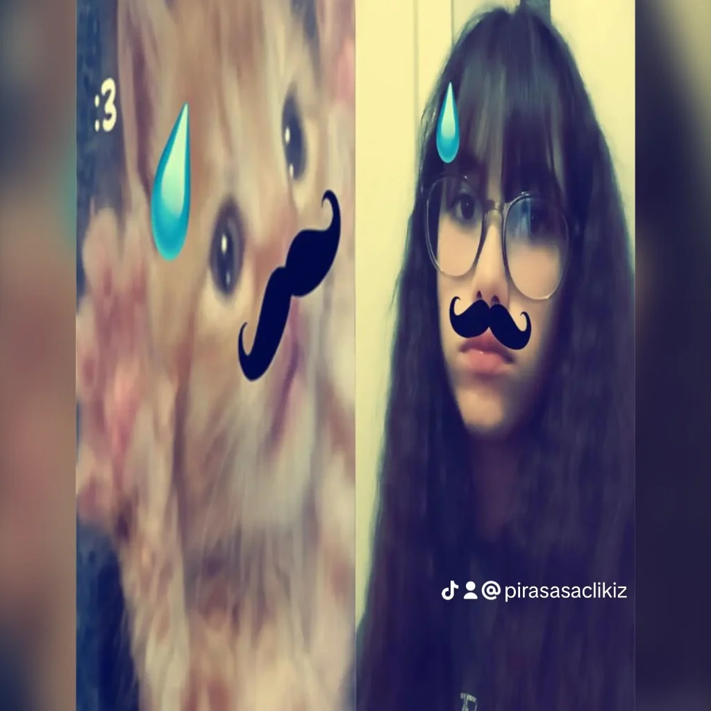 Profil