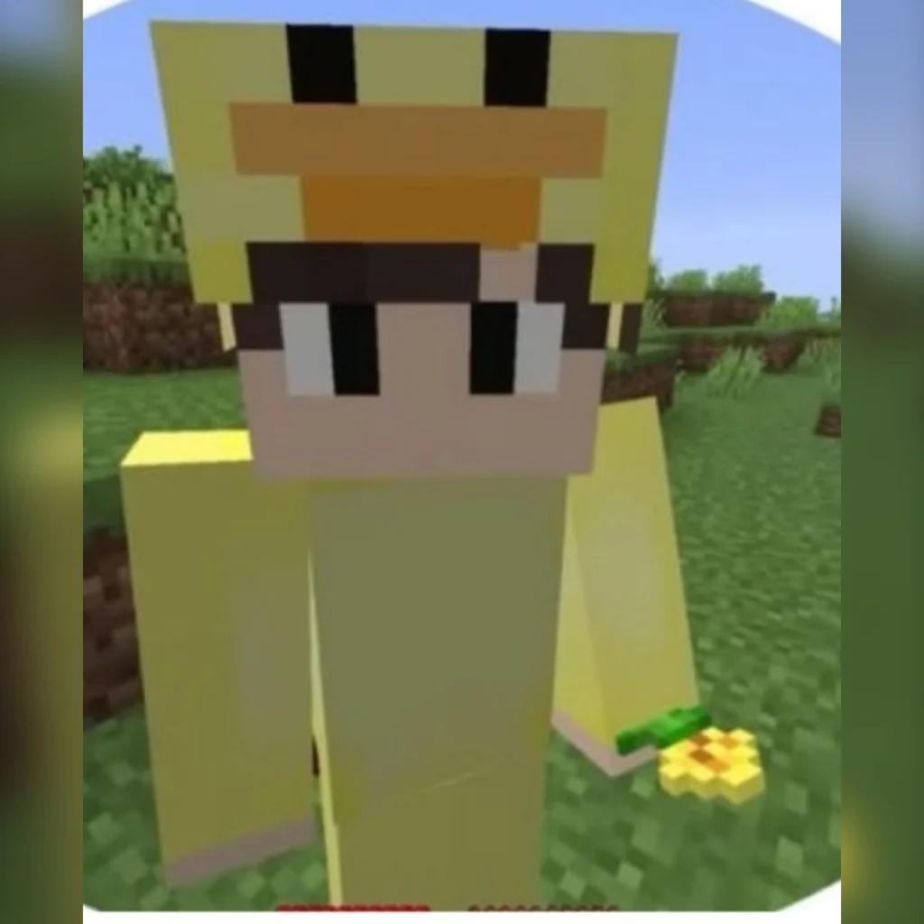 Profil