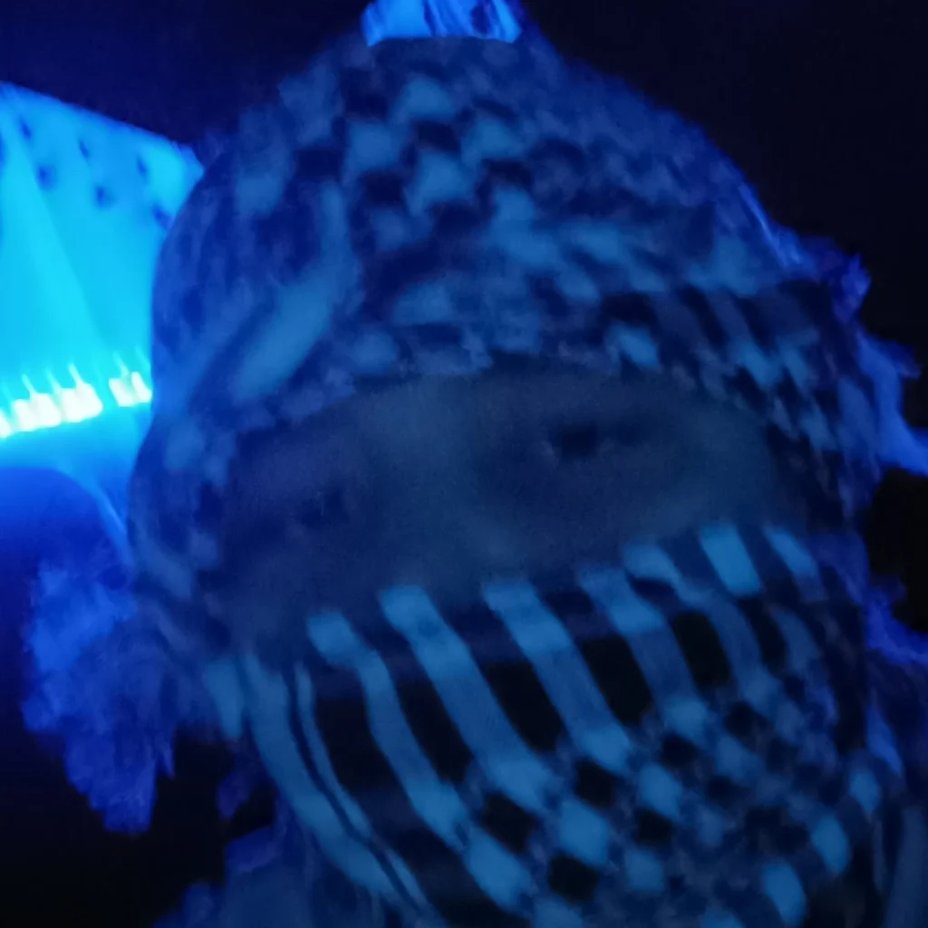 Profil
