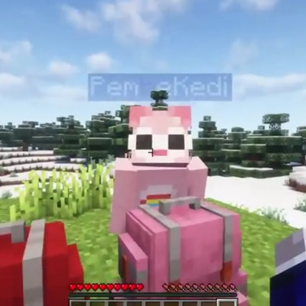 Profil