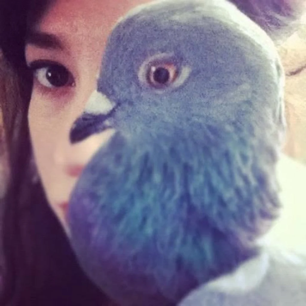 Profil