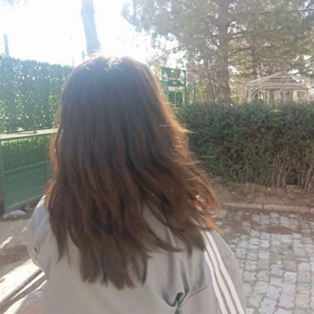 Profil