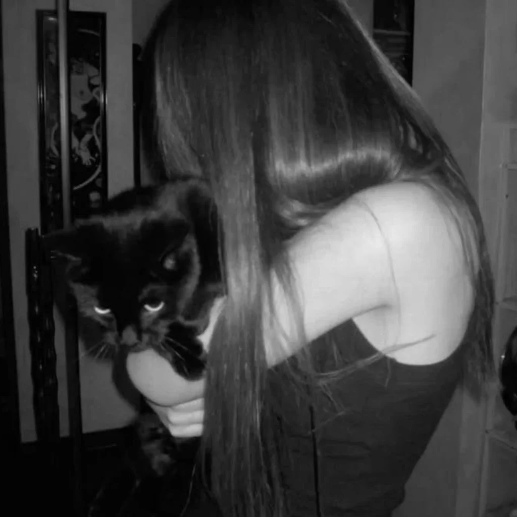 Profil