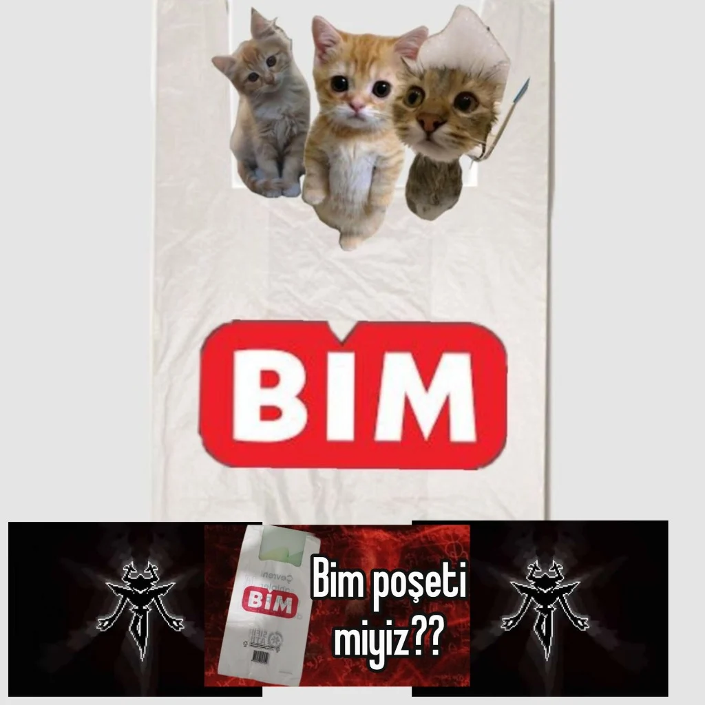 Profil