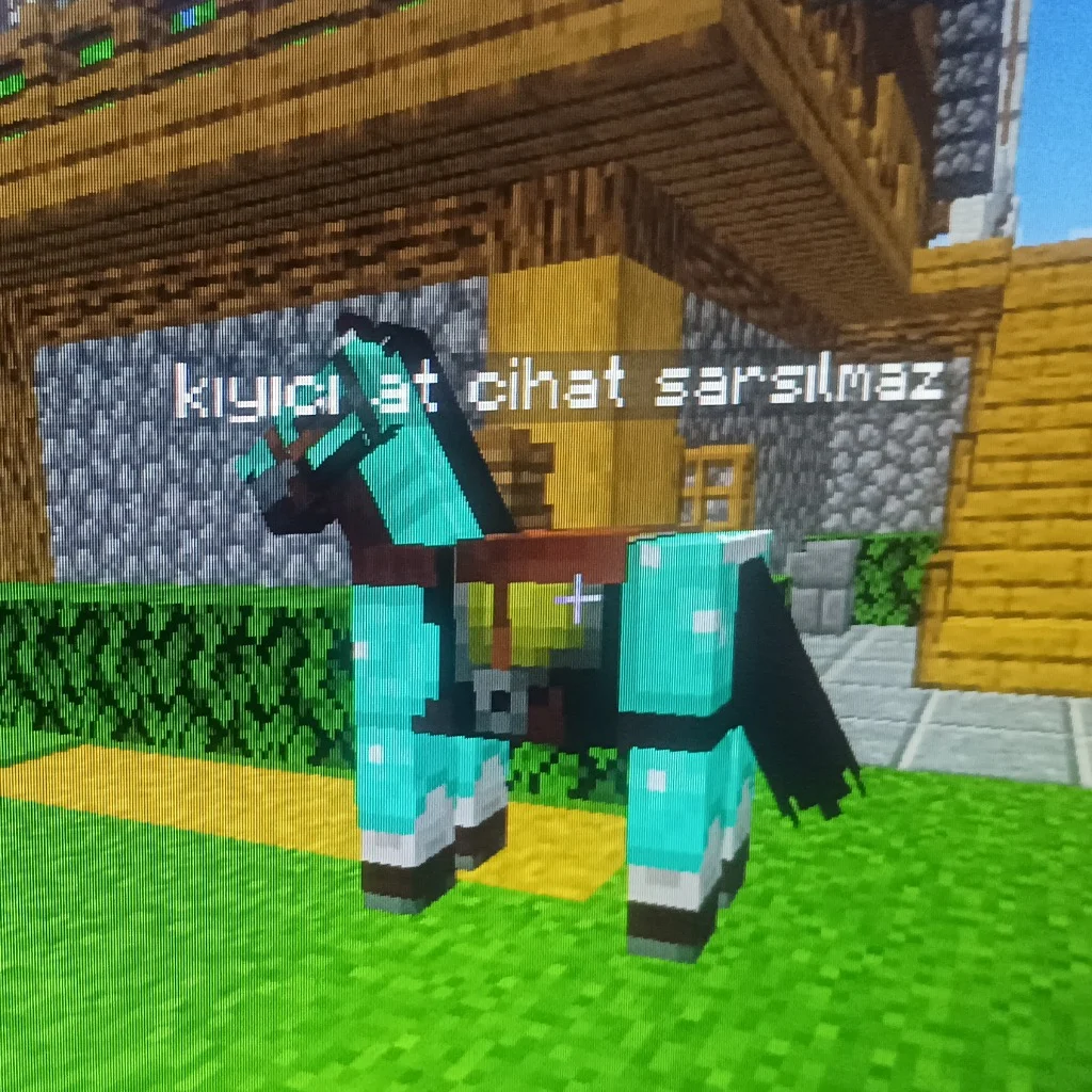 Profil