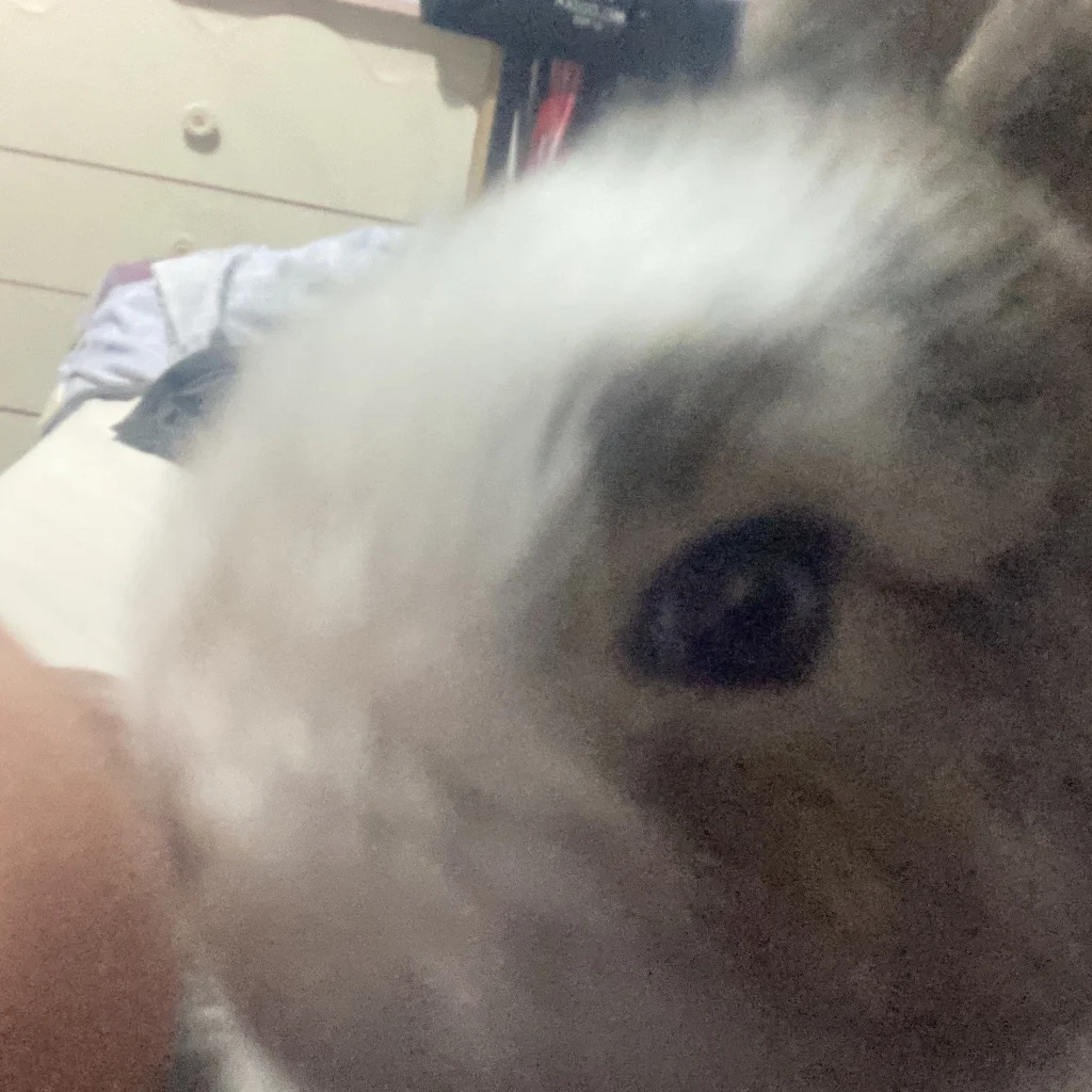 Profil