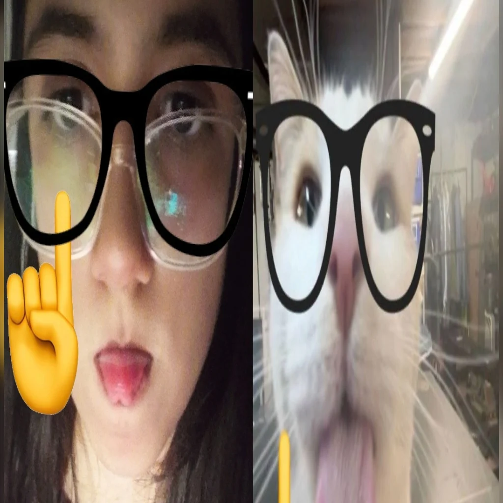 Profil