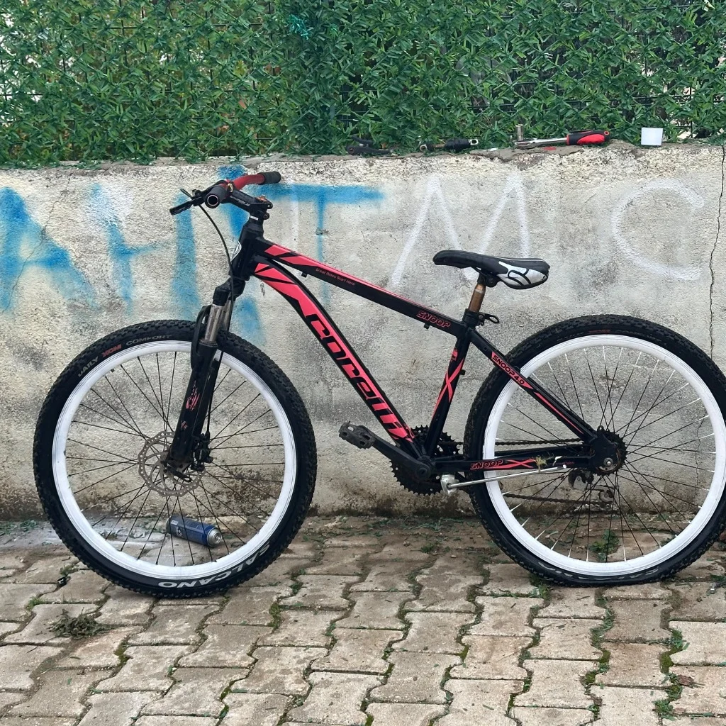 Profil