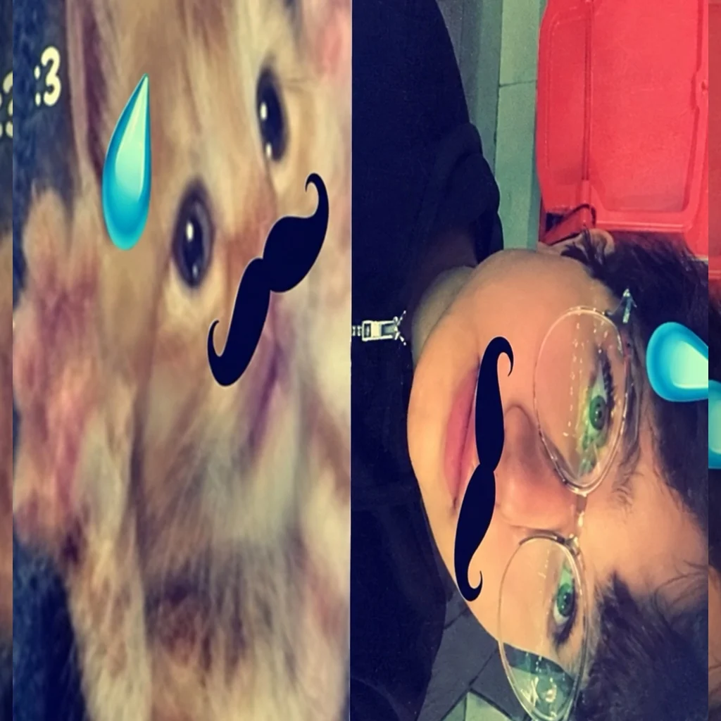 Profil