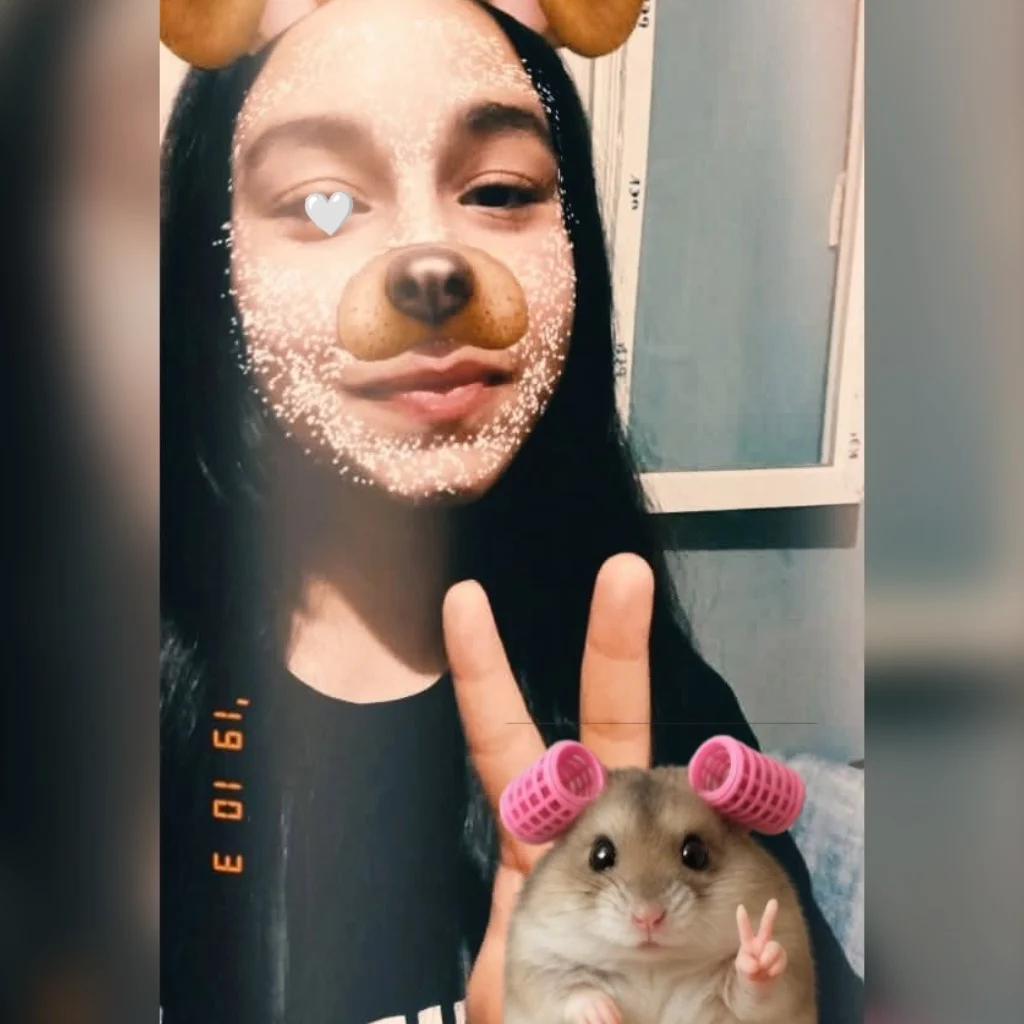 Profil
