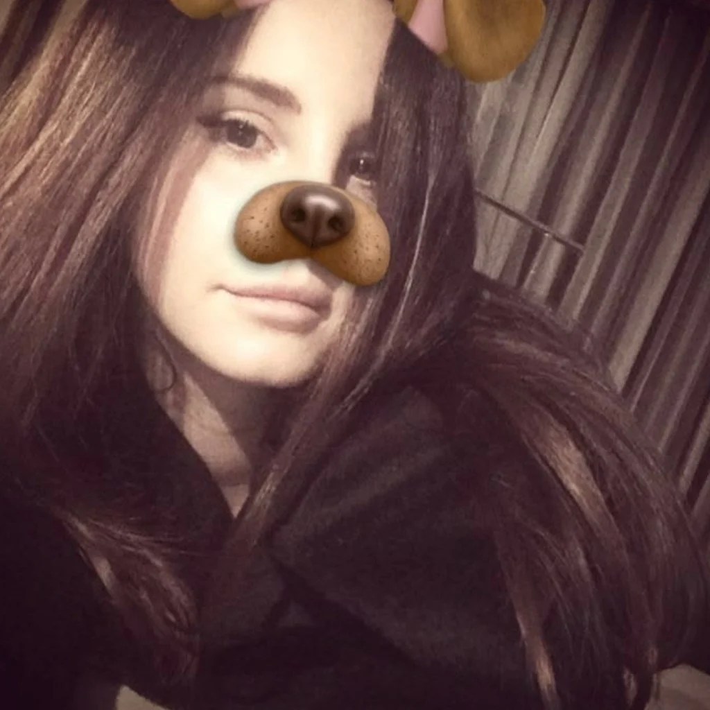 Profil