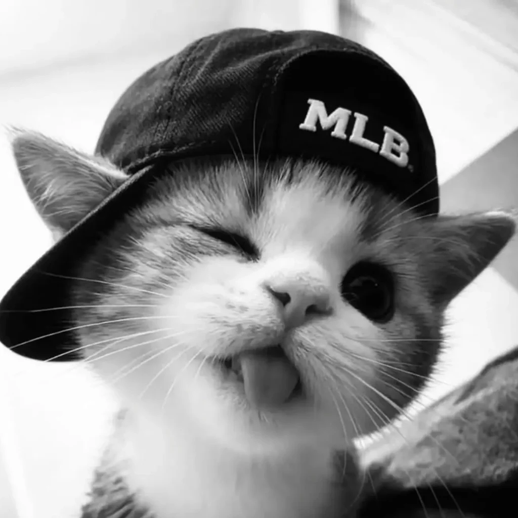 Profil