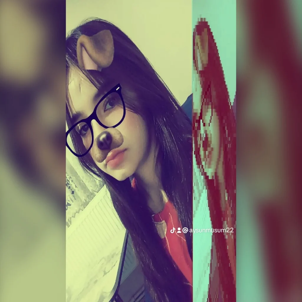 Profil