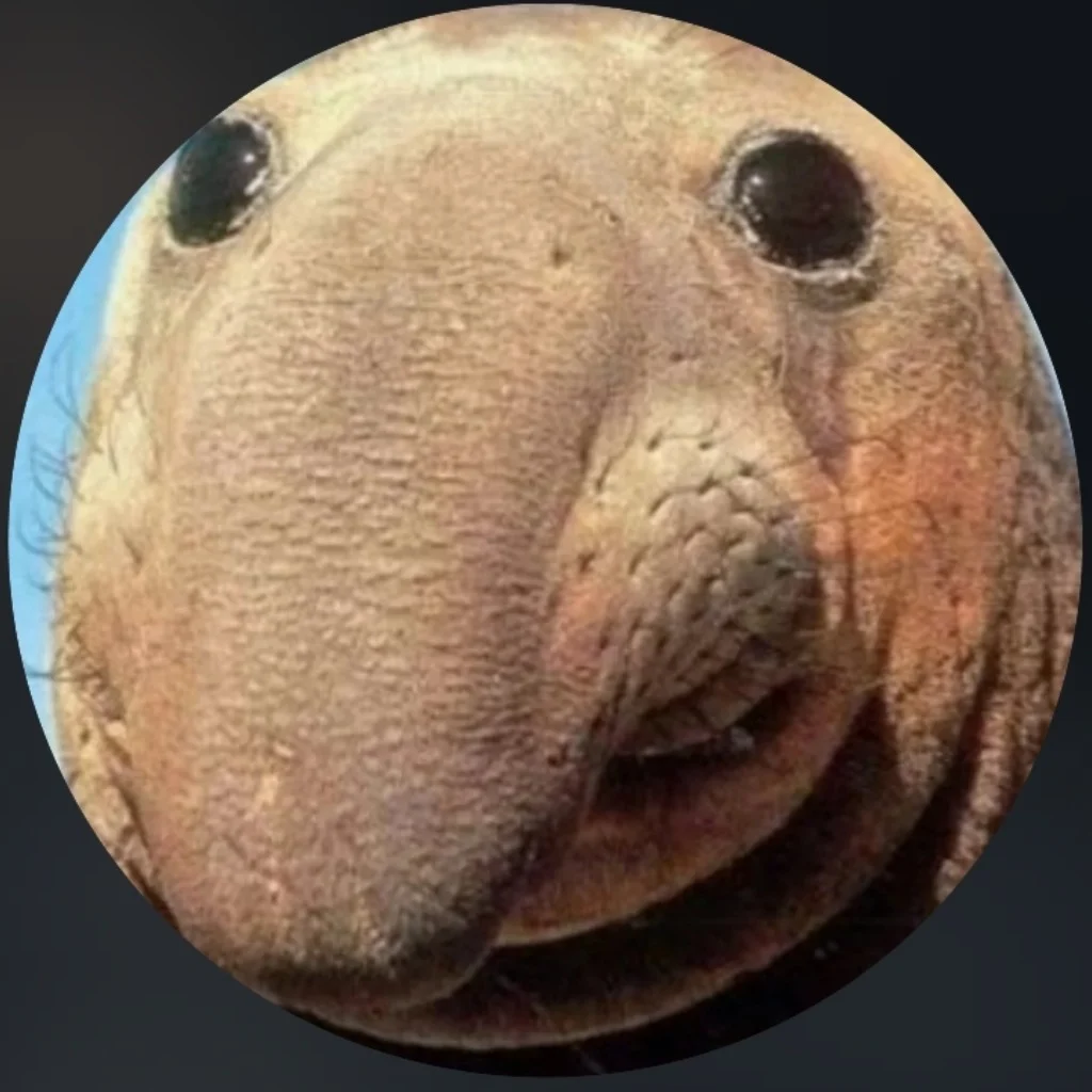 Profil