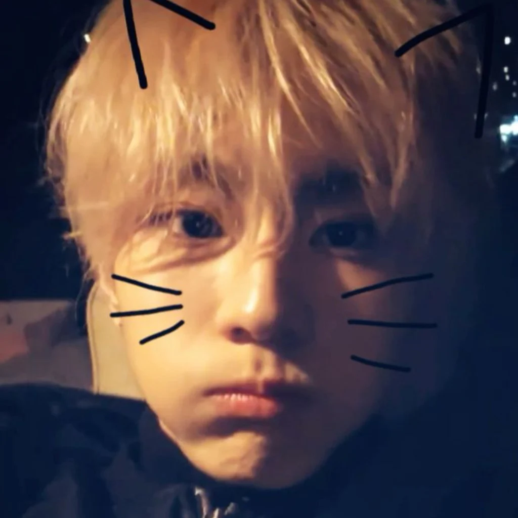 Profil