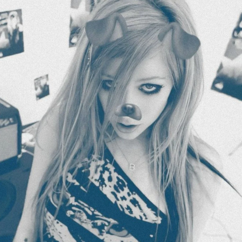 Profil