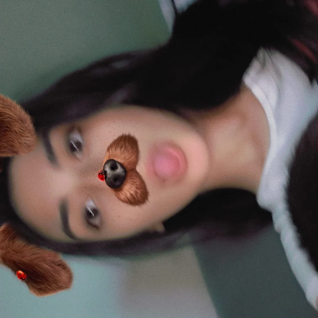 Profil